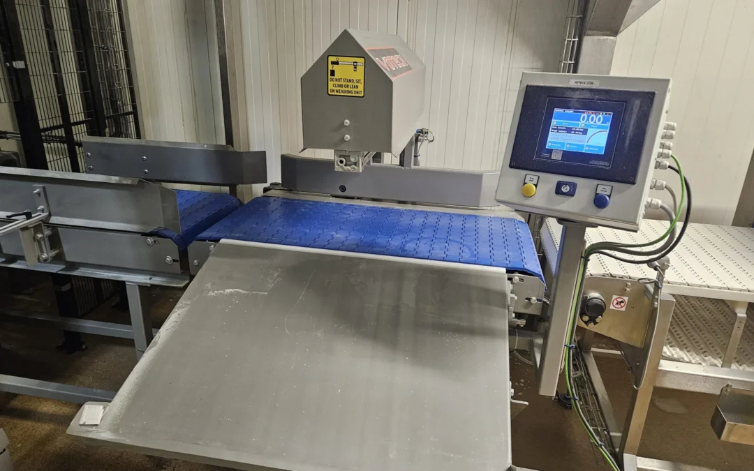 Legalizacja wag przenośnikowych i wszystkich typów wag