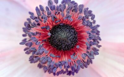 Jakie prawa przysługują przy umowie najmu?