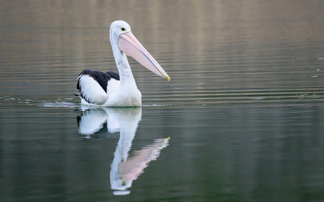 Wzór reklamacji towaru — Jak załatwic sytuacje?,wzór reklamacji towaru”