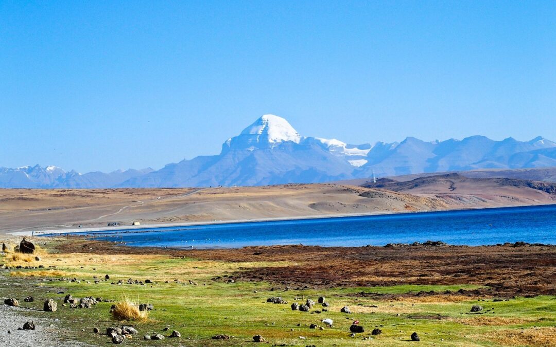 Co zrobić, gdy jedzenie z Monte jest niezgodne z zamówieniem?