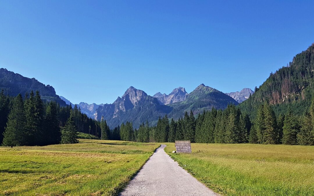 Jak uzyskać odszkodowanie za zatrucia wodą pitną?