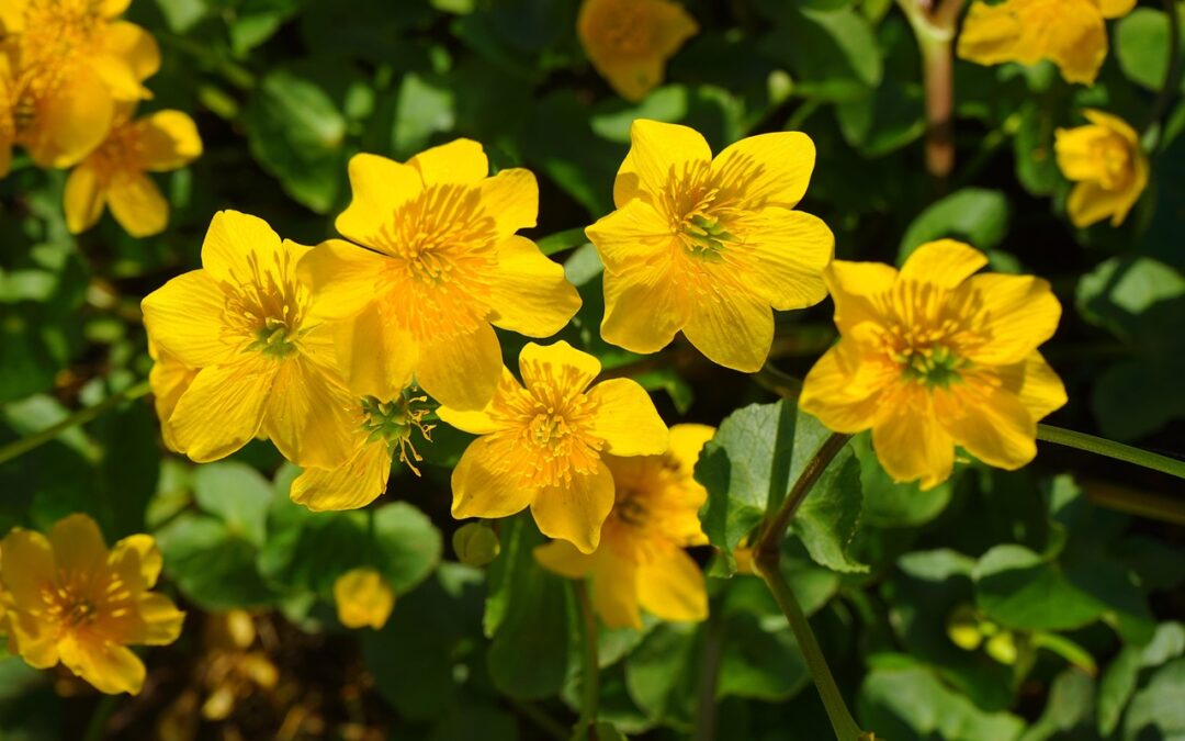 Problemy z zamówieniem w Massimo Dutti? Sprawdź, jak działa reklamacja