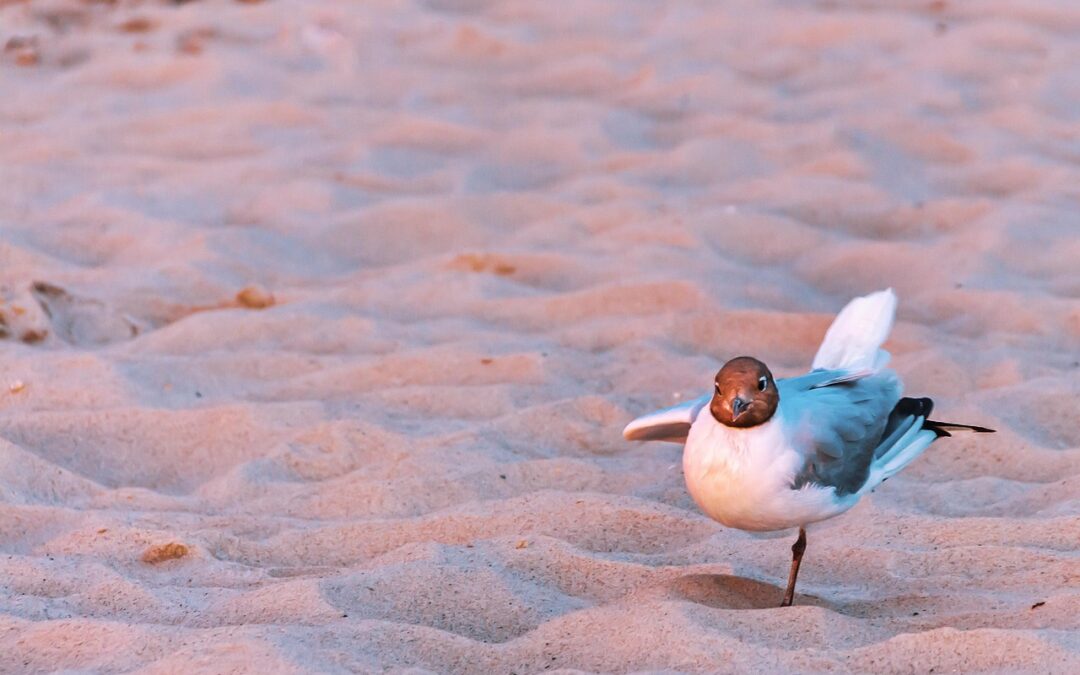 Odszkodowanie za niewłaściwą diagnozę