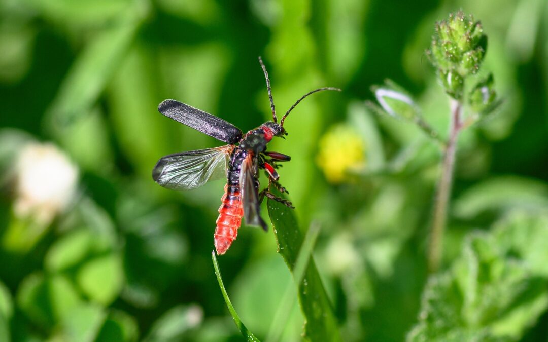 Czy muszę mieć oryginalne opakowanie do zwrotu?