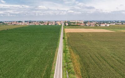 Problemy z zamówieniem w Lody Bonano – jak je rozwiązać?