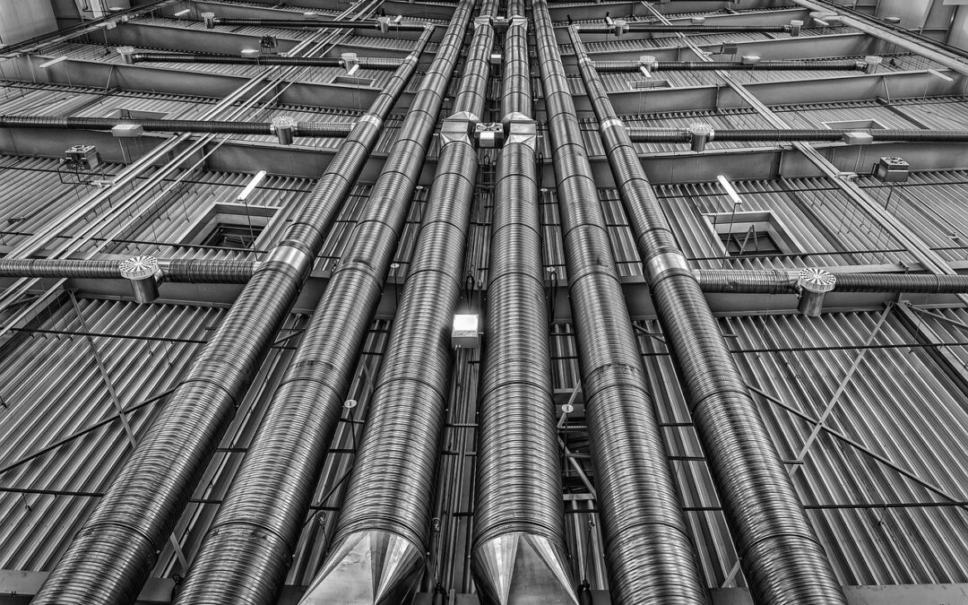 Co zrobić, gdy jedzenie z Black Energy jest niezgodne z zamówieniem?