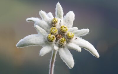 Co zrobić, gdy hotel nie spełniał warunków umowy?
