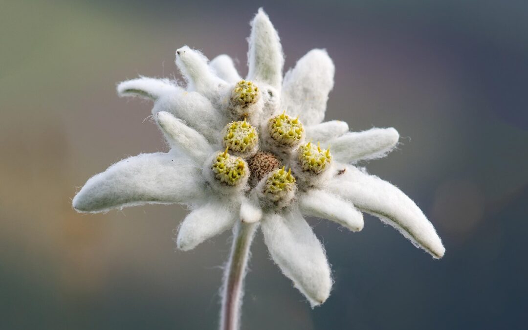 Co jeśli firma nie realizuje umowy?